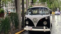 Mexico City PRIVATE Lucha Libre, mezcal & Tacos on a 1975 VW Bus