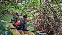 Kayak TOUR POR Laguna Nichupte Cancun