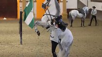 Jerez & Cadiz Winery with Tasting & Opt Horse Show from Seville 