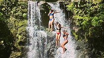 The best half day of your life! Luxury Road to Hana private tour