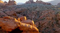 Meditation in the Mountains of Utah