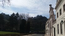 Transfer & Micro Tour of Porto - From Lisbon & Vice versa