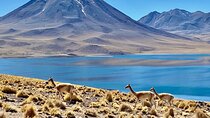 Private Tour: Piedras Rojas, in San Pedro de Atacama
