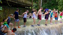 Dunn's River Falls Tour from Montego Bay Transfers