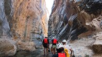 Full Day - Snake Canyon Adventure Tour in Jebel Shams region