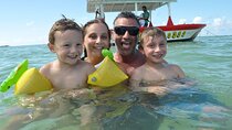 3 hrs Glass Boat Tour in Punta Cana