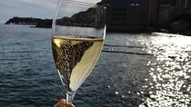 Private Lake Como Boat Tour with Captain Exclusive Scenic Cruise
