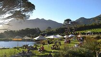 Explore the Cape Peninsula through a Queer Lens Private Tour