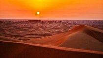 Dubai Desert Safari with Dinner