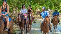 Blue Hole and Horseback Riding from Montego Bay with Transfers