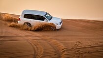 VIP Desert Safari Dubai with BBQ Dinner and Camel Riding