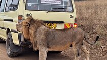  5 hours Nairobi national park drive