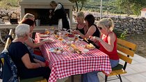 Family-run Vineyard Tour & Award Winning Wine Tasting/Delicacies