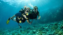 Scuba Diving Experience in Antalya with Lunch and Transfer 