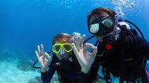 Marmaris Full Day Scuba Diving Two Dives With Lunch Hotel pickup