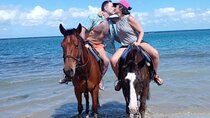 Horseback Riding and Bamboo Rafting Tour from Montego Bay 