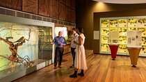 Australian Wine Discovery Tour Ticket