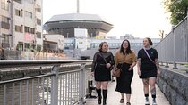 Private Customized Tour with Local Guide In Osaka