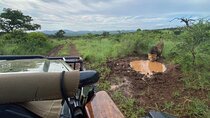 2 Day Big 5 Safari Tour of St Lucia, Hluhluwe, iMfolozi, Manyoni