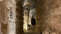 1 Day Tour to Amman Jerash and Ajloun castle 