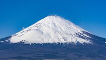 Private Tour to Mt Fuji, Lake Kawaguchi with Limousine and Driver