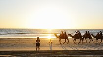 Camel ride in agadir at sunset with barbecue and couscous 