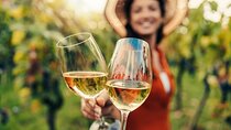 From San Francisco: Napa & Sonoma Valley Wine Tour with Tastings