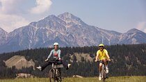 E-Bike Safari Eco Tour