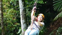 Miraflores Locks+ Sloth Sanctuary + Canopy in Gamboa Rain Forest