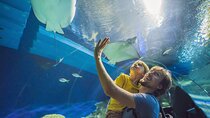 Oman Aquarium - Admission Ticket