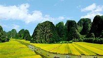 Ninh Binh Day Trip from Hanoi to Hoa Lu Tam Coc Boat and Bike