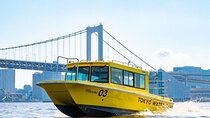 Tokyo Water Taxi Heritage Tour