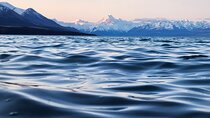 Christchurch to Mt Cook via Tekapo (1 way) (Small Group)