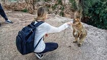 Best 3 days from Fes to Marrakech desert tour
