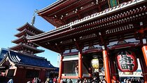 Day Private City Tour of Tokyo with English speaking driver