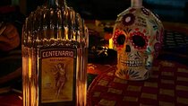 Live Noche de Muertos at Xochimilco: Dinner and local beers