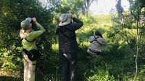 Full Day Birding Zambezi National Park Includes Picnic Lunch