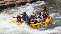 Durango "4.5 Half-Day" Rafting Trip Down the Animas River