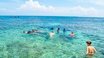 A whole day to the 5 Rosario Islands with snorkeling and plankton