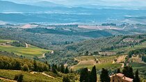 Airplane Napa Valley Flight Tour