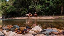 Horse Tour