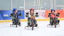 Dubai Ice Rink Admission Ticket