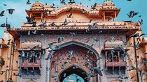 Guided jaipur Tour By Ac Car
