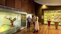 Hosted Wine Discovery Journey Tour