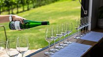 Barossa Small Group Wine Tours with Wine Tasting and Lunch