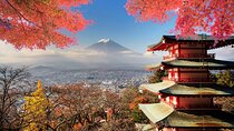 Mt Fuji, Hakone Private Tour by Car Pickup from Tokyo