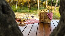 Shuttle & Wine Experience at Lyrarakis Winery