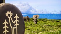  5-Day Mid-Range Safari in Tanzania