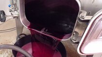 Requena Half-Day Private Vineyards & Premium Wine Tastings Tour