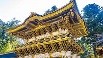 From Tokyo Private Trip to Nikko